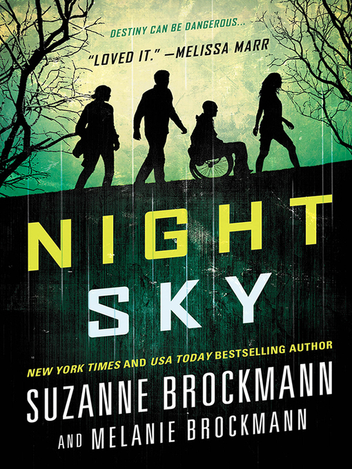 Title details for Night Sky Series, Book 1 by Suzanne Brockmann - Wait list